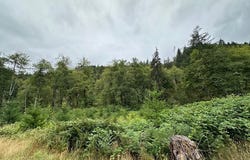 2 Dubois Rd, Ariel, WA 98603