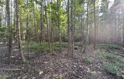 Hwy 32, Oakland, MS 38948