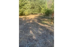 86 Riverside Lane, Willow Creek, CA 95573