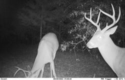 FM 114, DeKalb, TX 75559