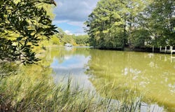 PECAN LN, CARDINAL, VA 23025