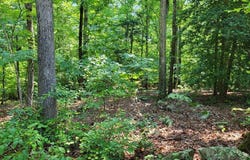 Weanock Lane lot: 74, Ebony, VA 23845