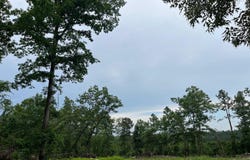 Hwy 84, Amity, AR 71921-0000