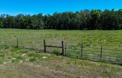 NE 758th St, Old Town, FL 32680
