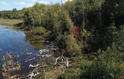 Dexter Road, Saint Albans, ME 04971