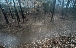 Coker Spur Rd, Red Bay, AL 35582