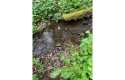 Green Mountain Rd, Kalama, WA 98625