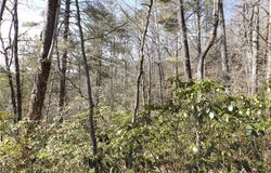 130 Fairway Woods, Pickens, SC 29671