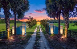 5309 NW 15th St, Bell, FL 32619