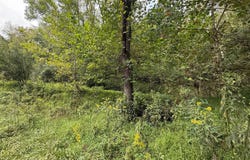1055 River St, Gassaway, WV 26624