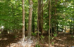 69 BOLLING CIR, PALMYRA, VA 22963