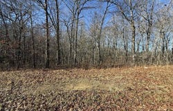 Georgee Rd, Jamestown, TN 38556