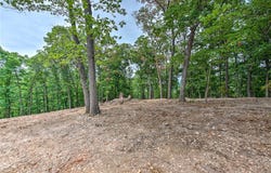 Eagle Cove Road lot: 8, Eureka Springs, AR 72631
