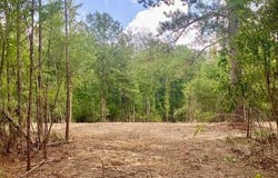 SE Lee Drive, Bogue Chitto, MS 39629