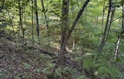 Kendall Road, Leitchfield, KY 42754