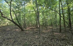 Cypress Lake Road, Beebe, AR 72012