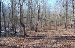 340 Bluff View Drive, Dunlap, TN 37327