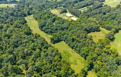 Green Hill Road, Fordland, MO 65652