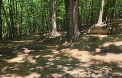 BEAHM TOWN RD, CULPEPER, VA 22701