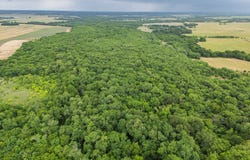 Tract 9 County Road 2158, Cooper, TX 75432