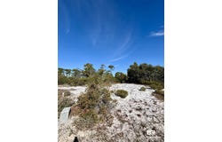 River Road, Orange Beach, AL 36561