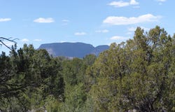 Last Frontier Trail lot: 26, Datil, NM 87821