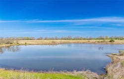 50 CR 3400, Pecan Gap, TX 75469