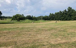 22575 CR 2138, Troup, TX 75789