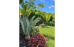 348 S Walker, San Pedro, CA 90732