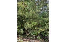 progress hill Drive, Pigeon Forge, TN 37863