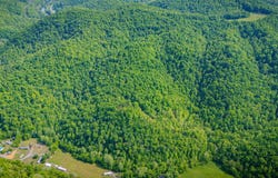 Fairview Road, Duffield, VA 24244