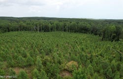 County Road 481, Paris, MS 38949