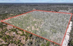 768th St, Old Town, FL 32680