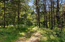 3508 Left Fork Road, Lucasville, OH 45648