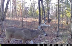 Crescent Rd, Warrens, WI 54666