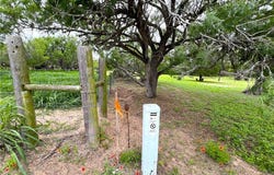 107 Lago Drive, Sandia, TX 78383