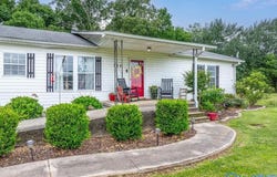 437 County Road 532, Fyffe, AL 35971