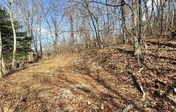 Holloway Rd/State Rt 331, Flushing, OH 43977