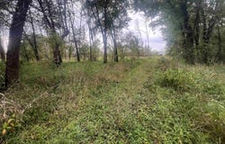 58.4 Acres Highway 33, Portage, WI 53901