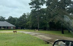 7207 Perdernales Dr, ATHENS, TX 75751