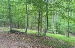 16921 Batestown Rd, Dumfries, VA 22025