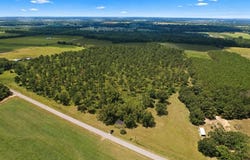 County Road 33, Ashford, AL 36312