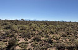 1975 E Valle Road, Williams, AZ 86046