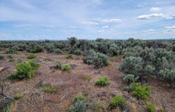 TL2000 Ruh-Red Ln., Burns, OR 97720