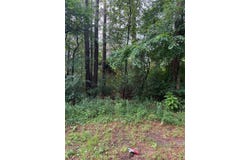 23575 Three Points Drive, Frankston, TX 75763