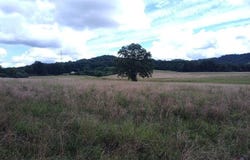 460 Skaggs Road, Morehead, KY 40351