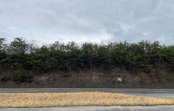 Alberta St, Oneida, TN 37841