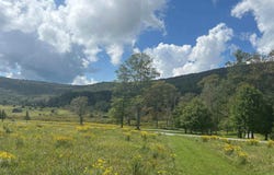 38 Waterfront Drive, Davis, WV 26260