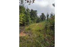 Gabe Rd, Saluda, SC 29138