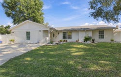 1325 OAKCREST Drive, BRANDON, FL 33510